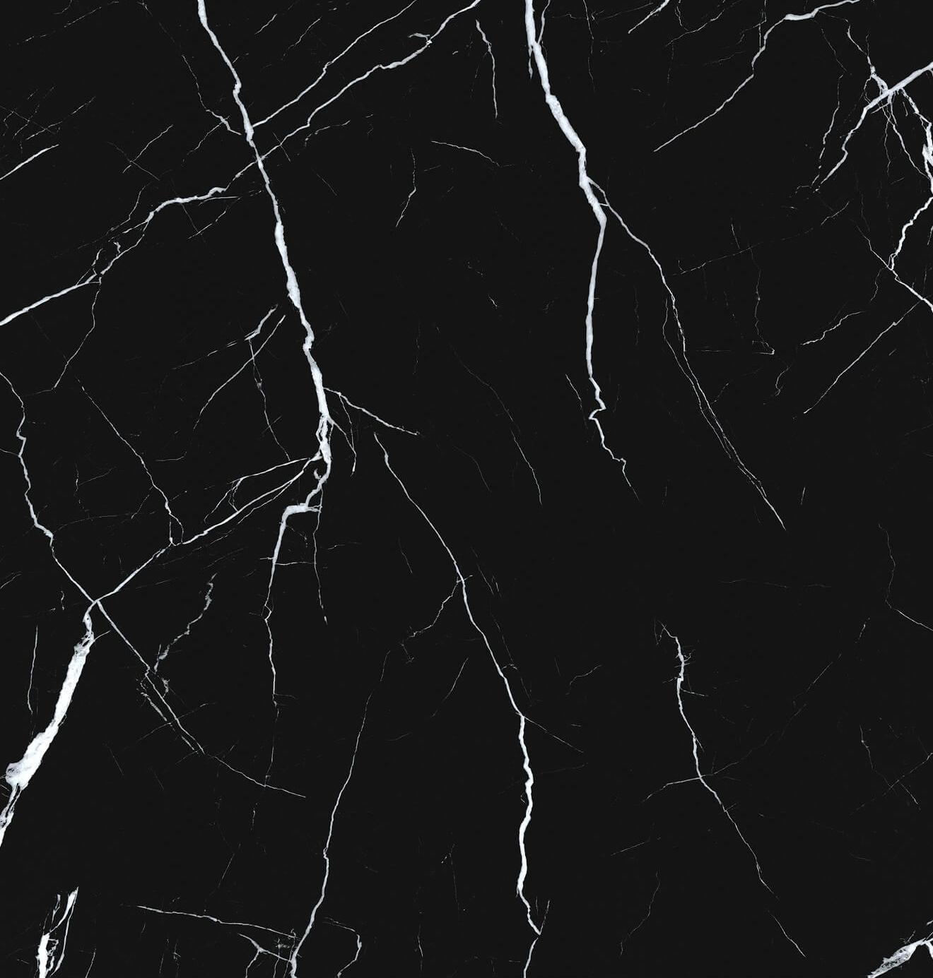 Black White Root