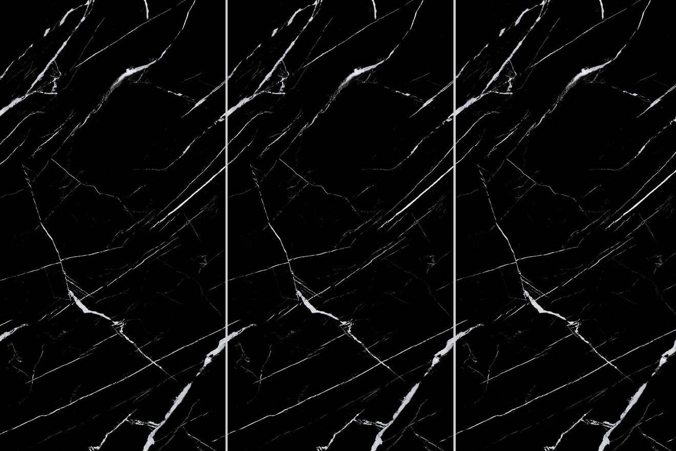 Black White Root 2